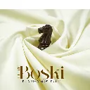 Untitled design (3).webp